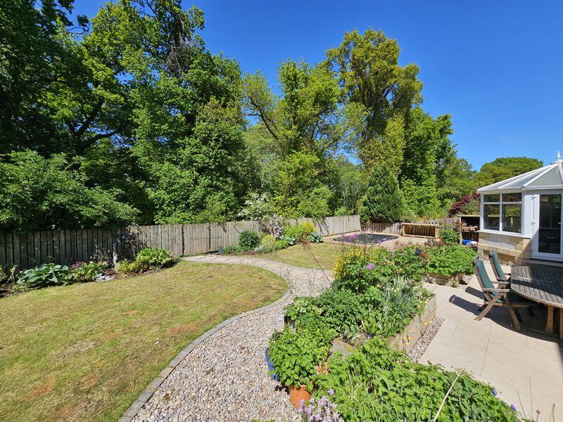 Patio &amp; Back Garden
