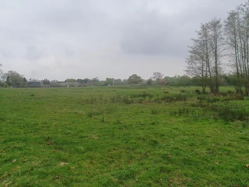 WhatsApp Image 2025-05-05 at 18.31.36 (5).jpeg