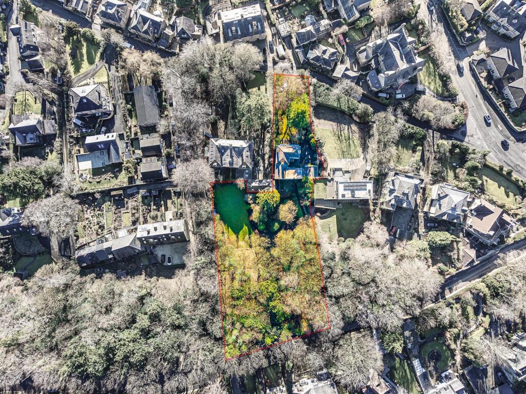 Aerial overview of plot