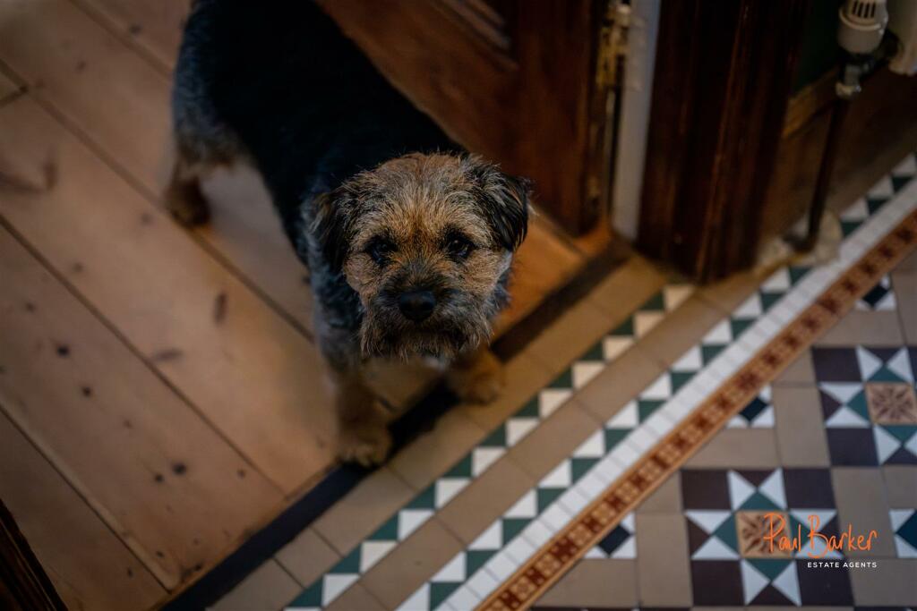 241028 - 61 Carlisle Avenue, St Albans - 41 [WM].j