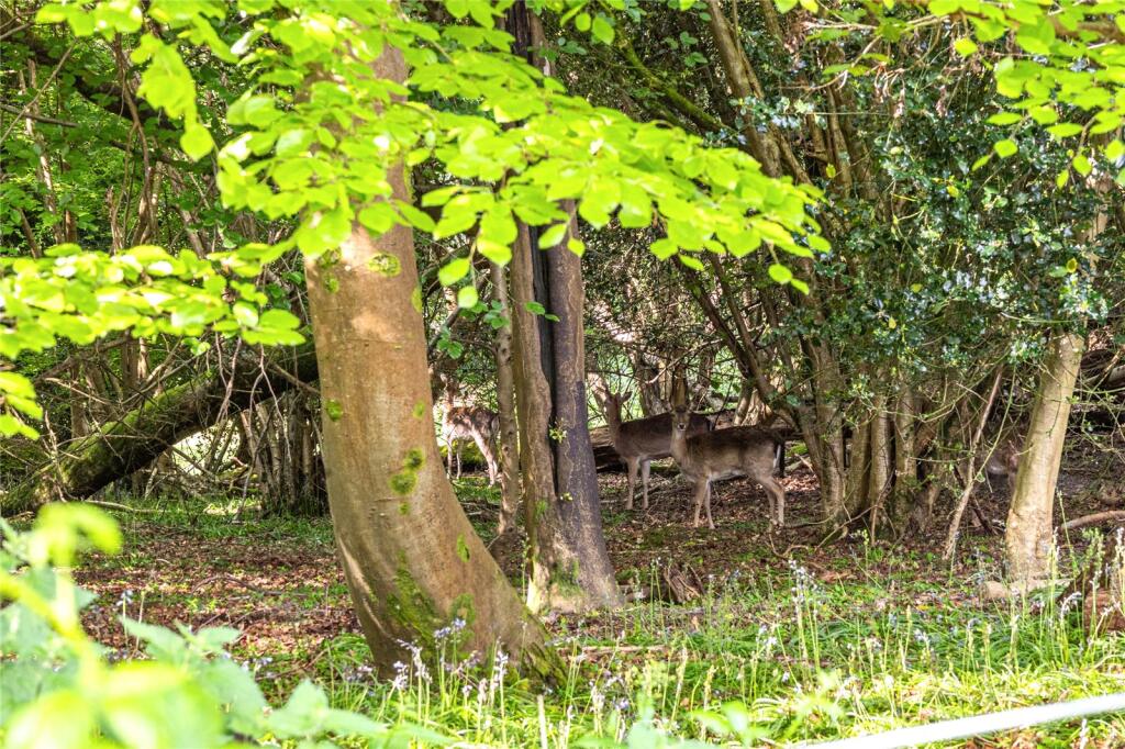 Orchard Farm