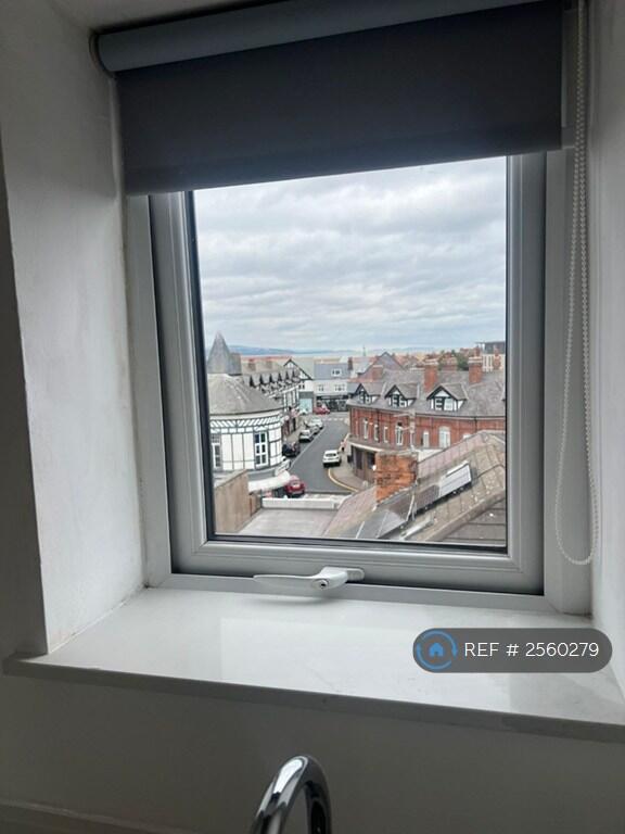 View From Kitchen Window