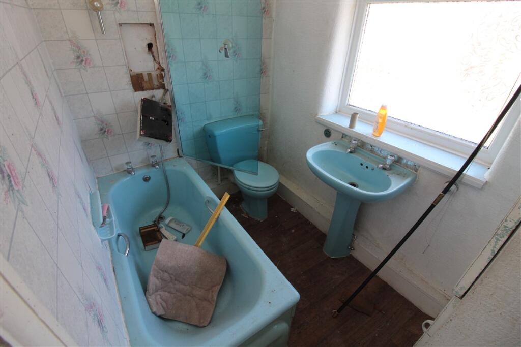 IMG 5317  Medium  T202505231115.jpg