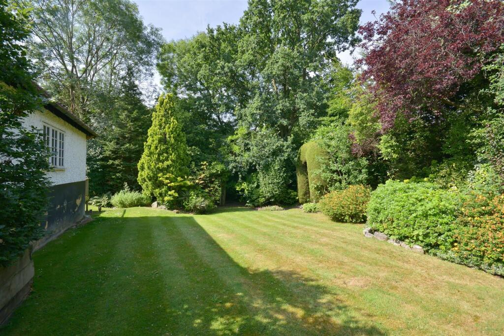 garden 2.jpg
