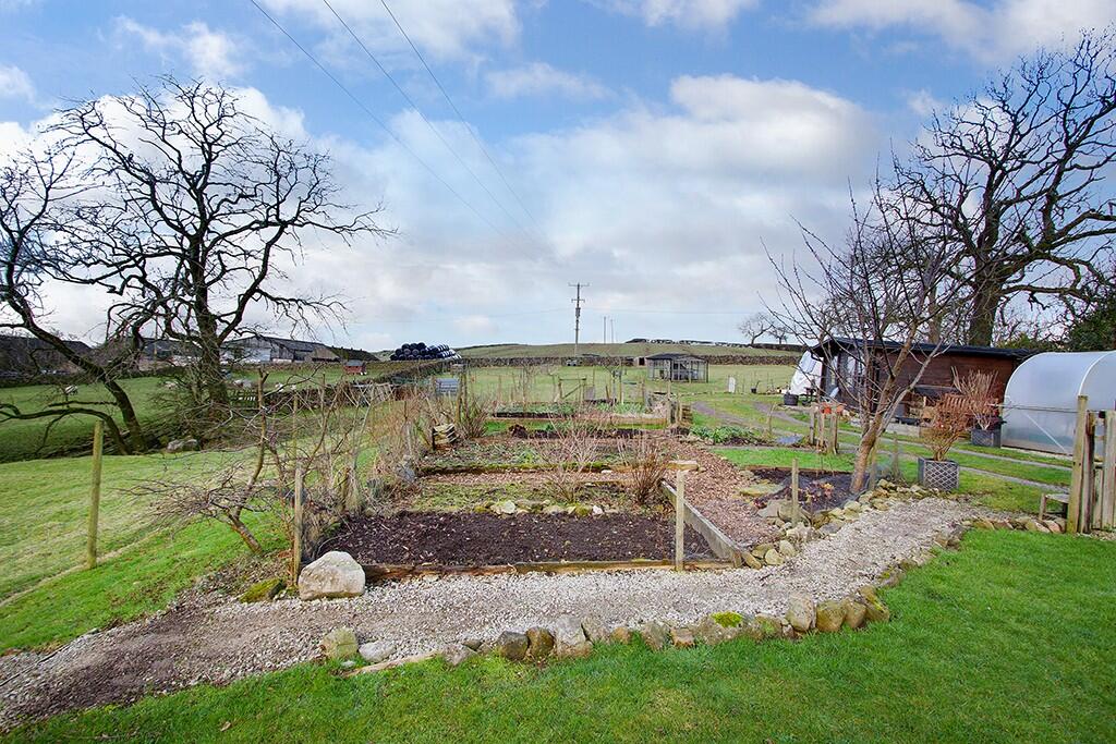 Fruit &amp; Veg garden