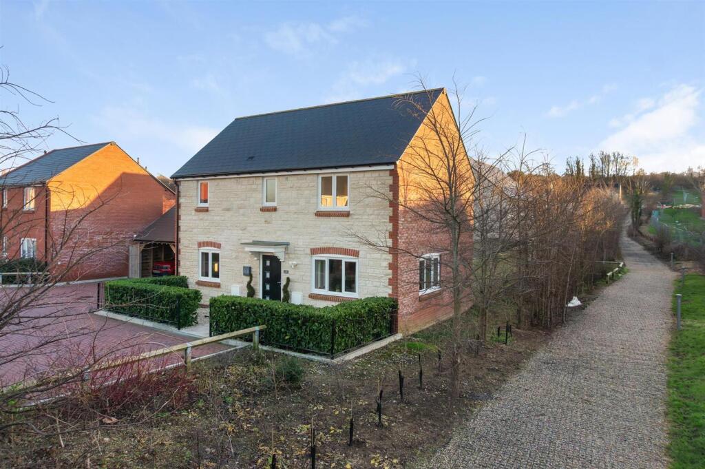 DSC06568.jpg