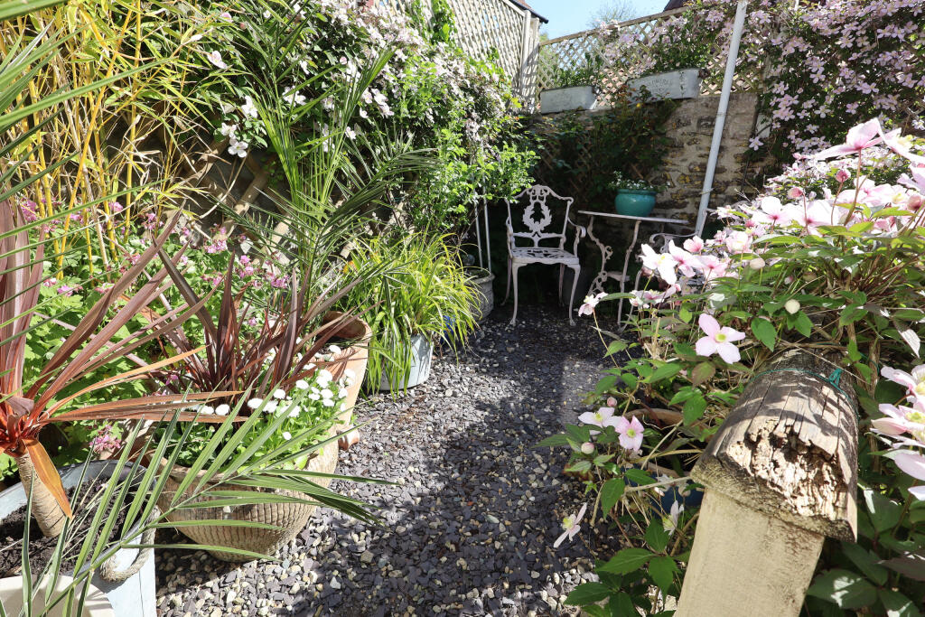 Rear courtyard garden