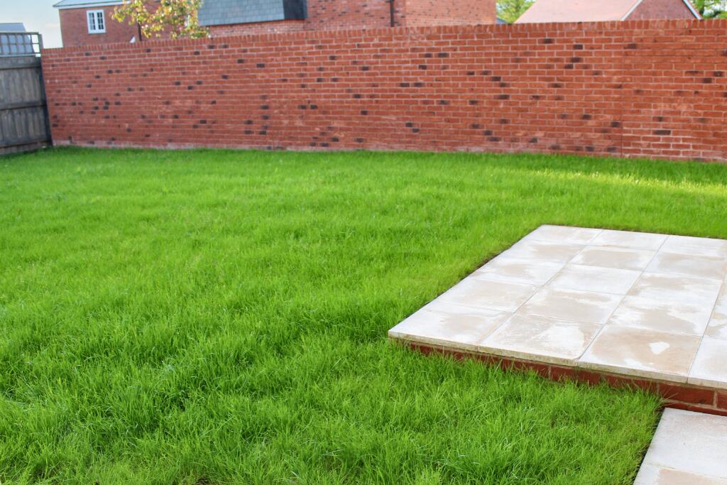 Plot 19, Garden