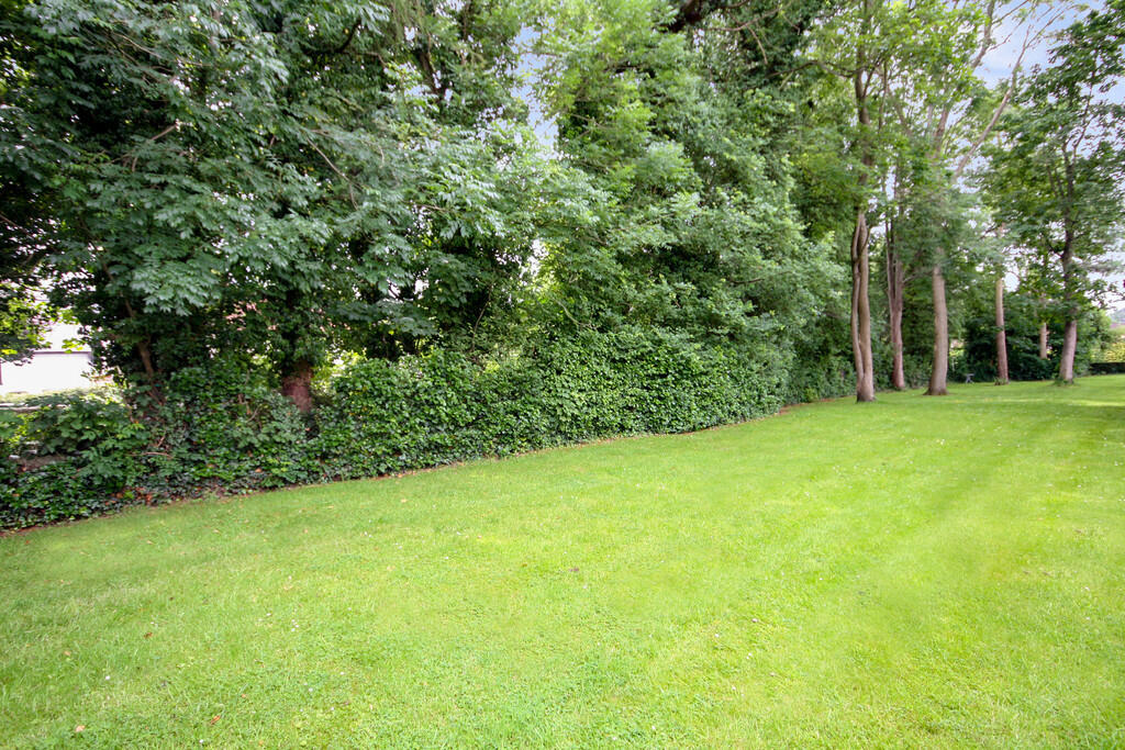 Communal Garden