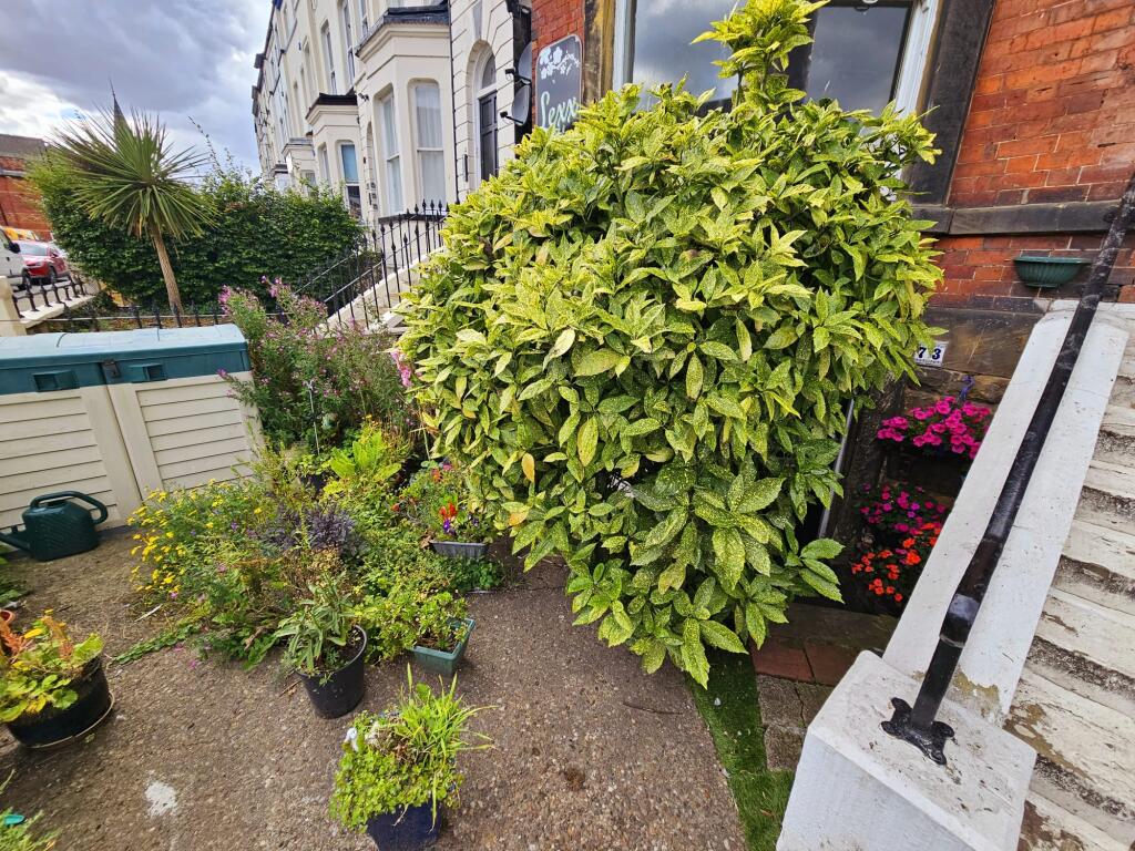 5e8e0311-408a-4396-a294-317186f34701