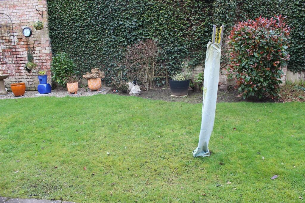 garden.JPG