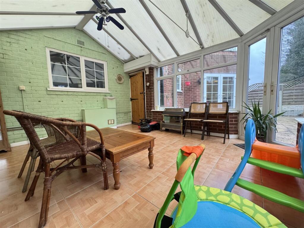 IMG_5569 (Large).JPG