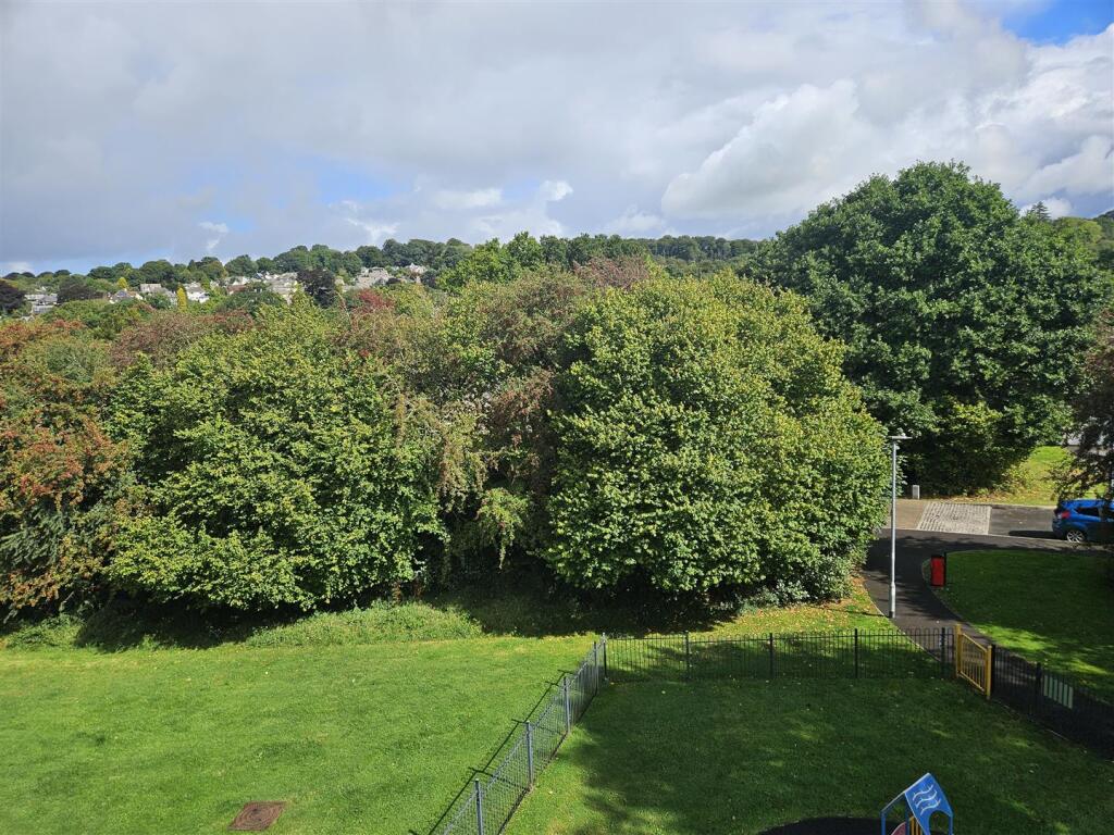 Looking towards the Town.jpg