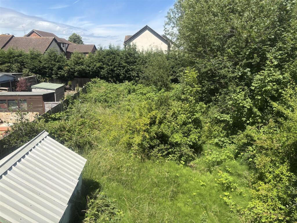 IMG_6761.jpeg