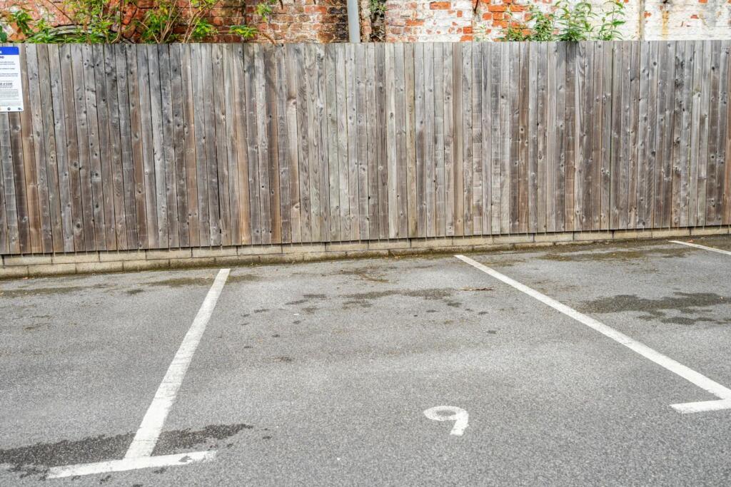 the walk (14 of 14).jpg