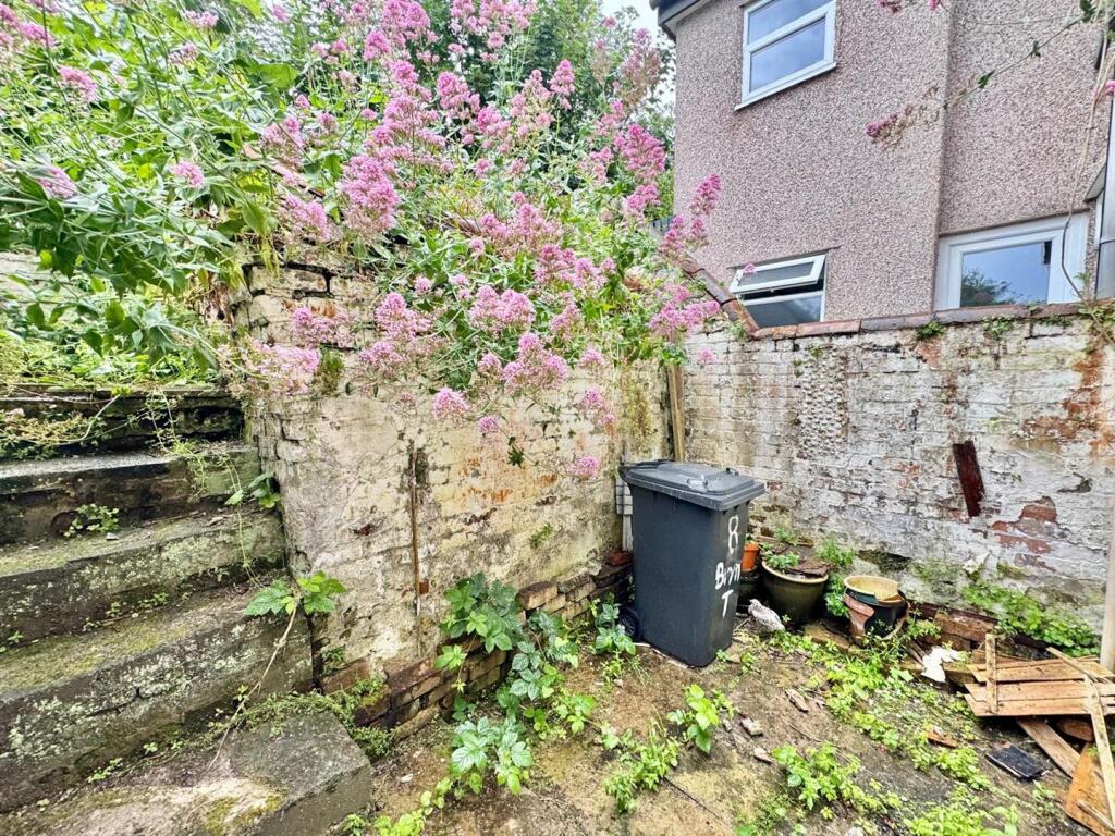 PHOTO-2025-06-24-08-04-23 (8).jpg