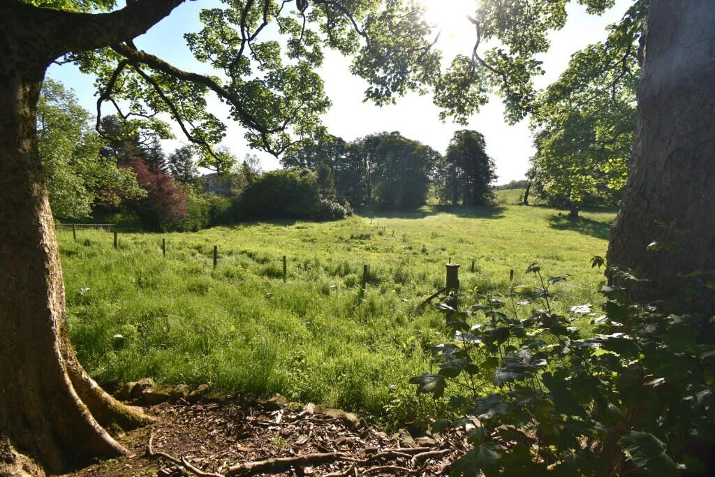 View from Garden