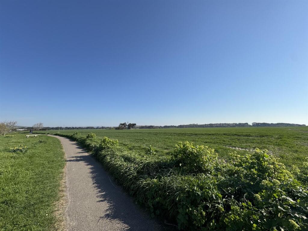 THE BEACH AND SURROUNDINGS