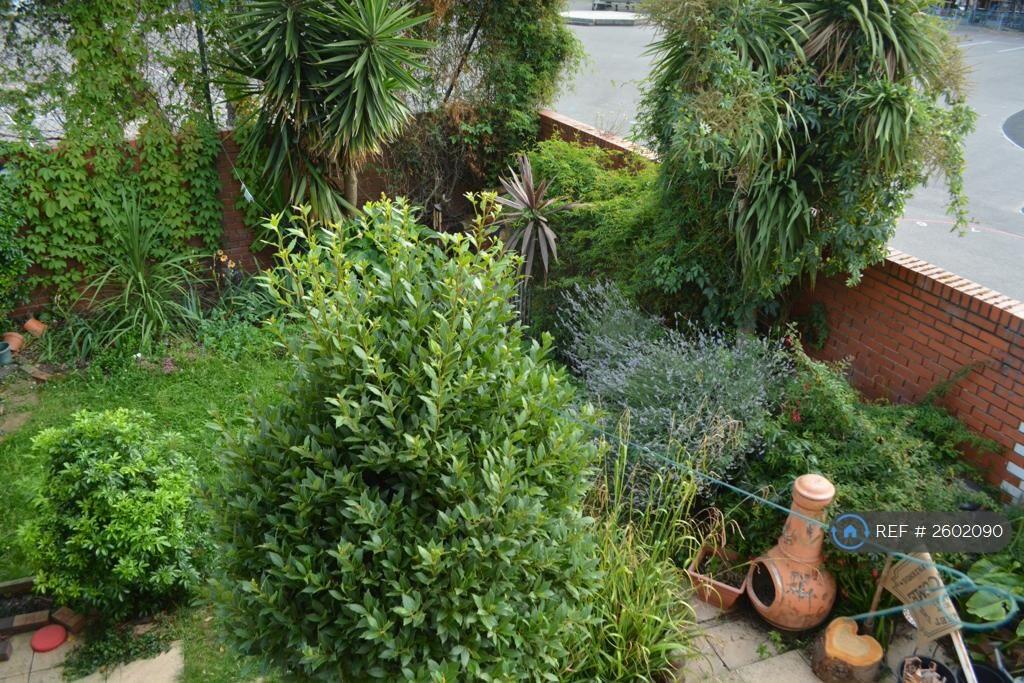 Large Wrap Around Garden