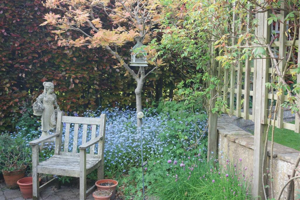 Garden mid May .jpeg