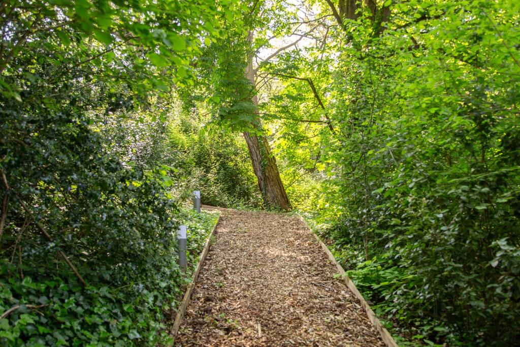 Woodland path to Beach House