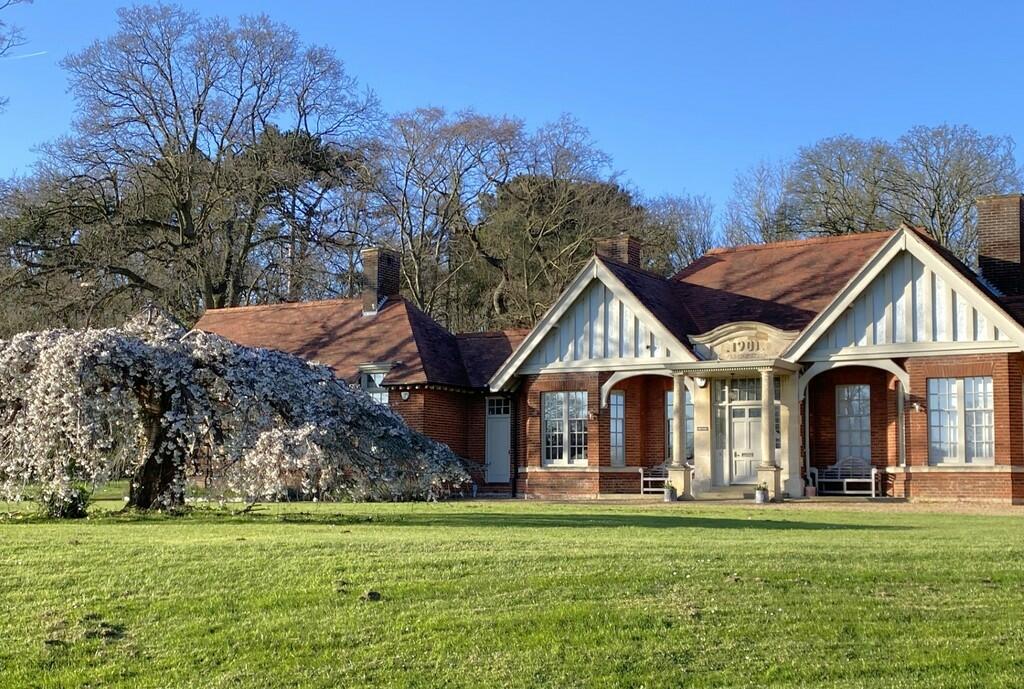 thumbnail_IMG_545...