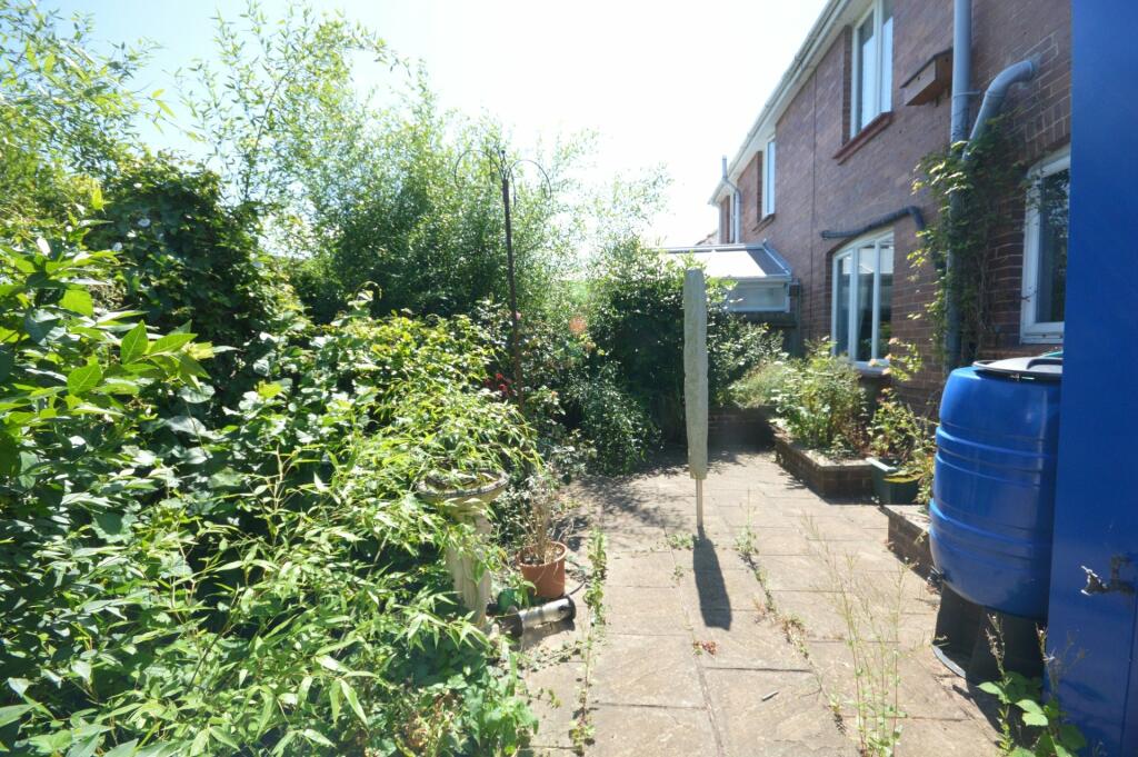 Back Garden
