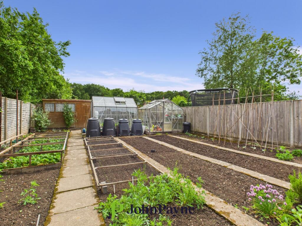 Vegetable Garden