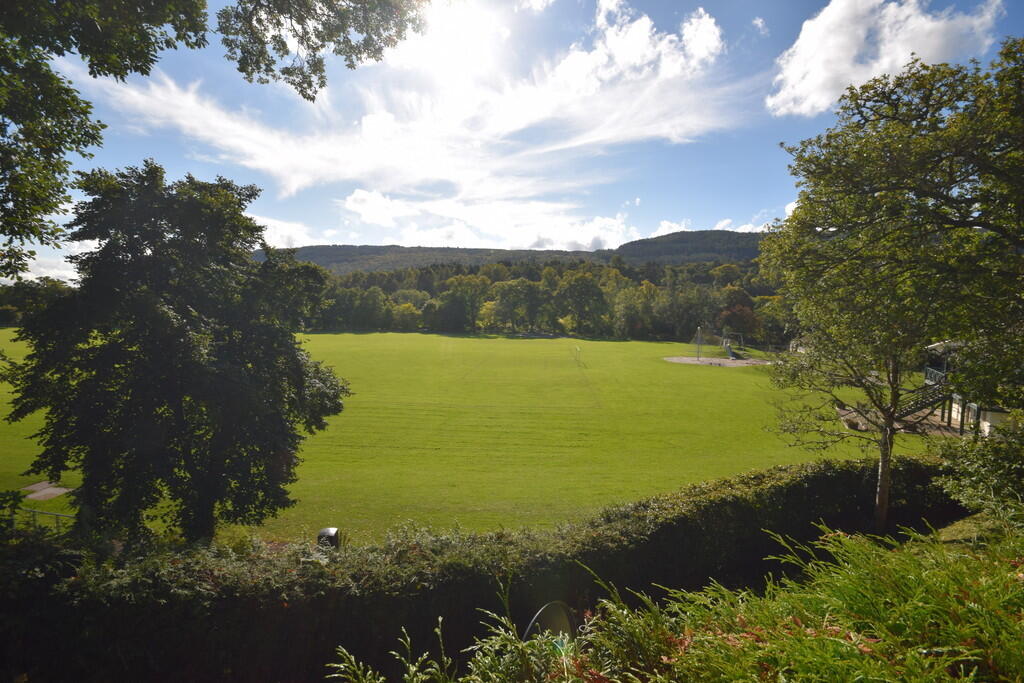 IMG_13843_20_larg...