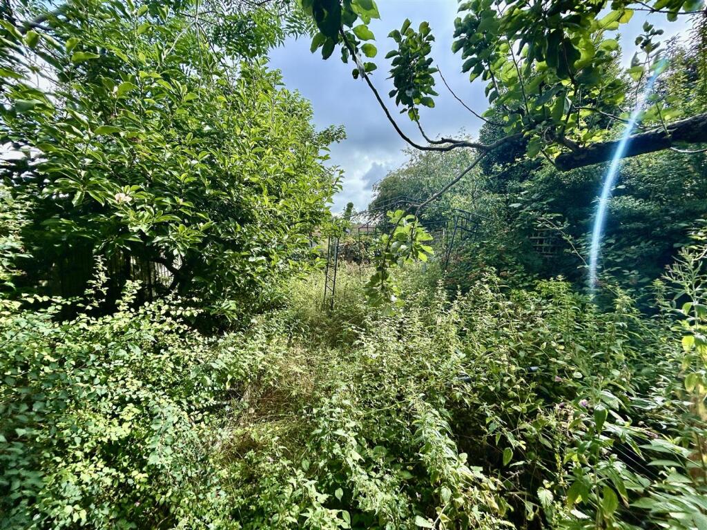 garden.JPG