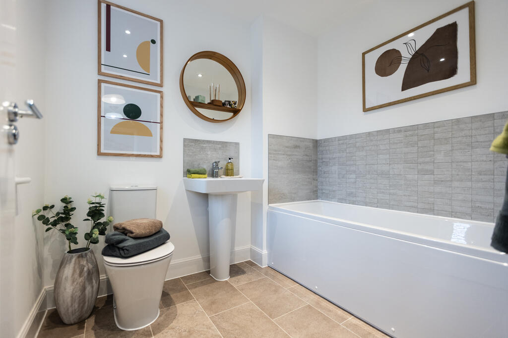 StCongars-44 Chestnut