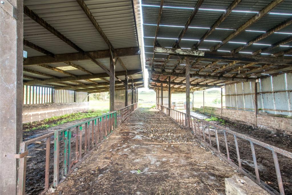 Cattle Court