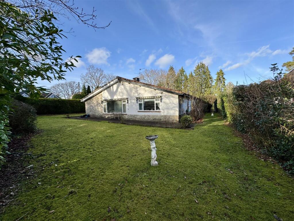 New Rear. IMG_1457.jpeg