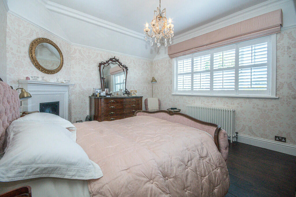 IMG_391349_19_lar...