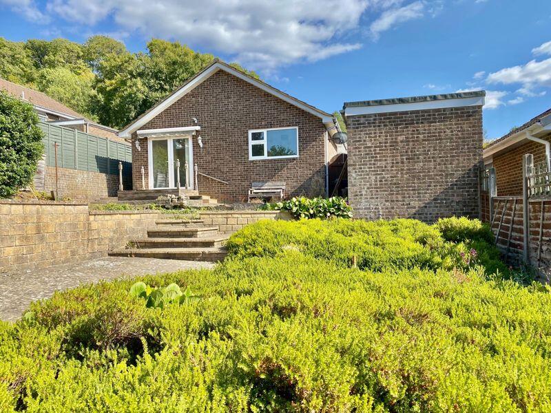 The Rear Garden