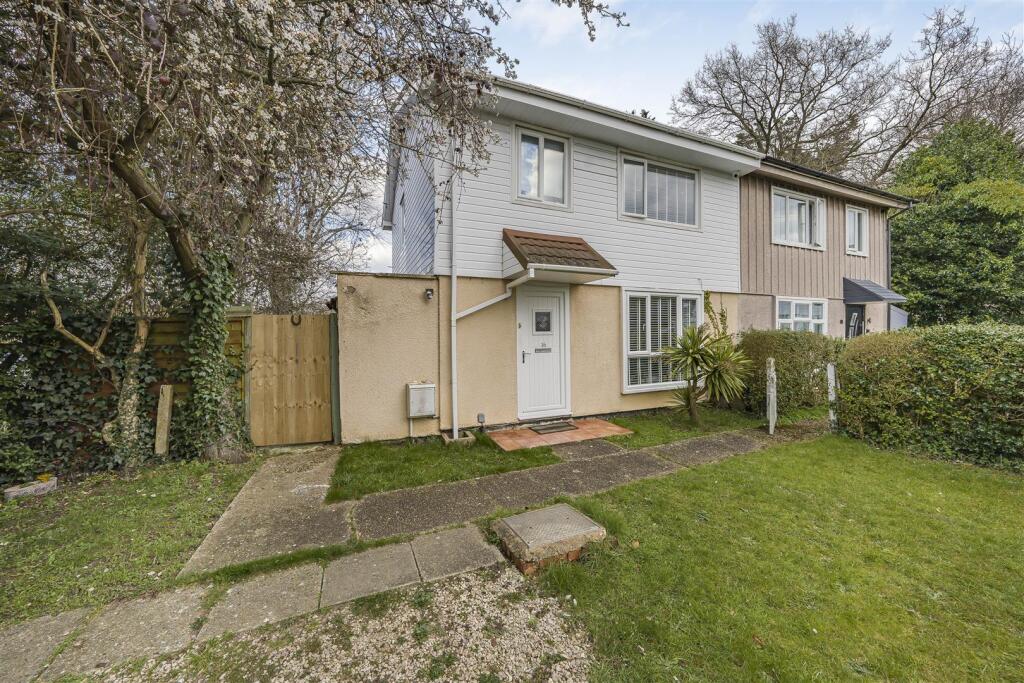 Photo Mar 17 2025, 5 12 25 PM.jpg