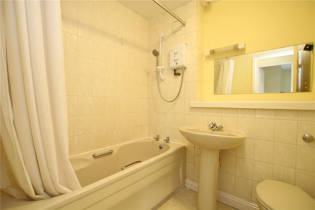 Picture 7