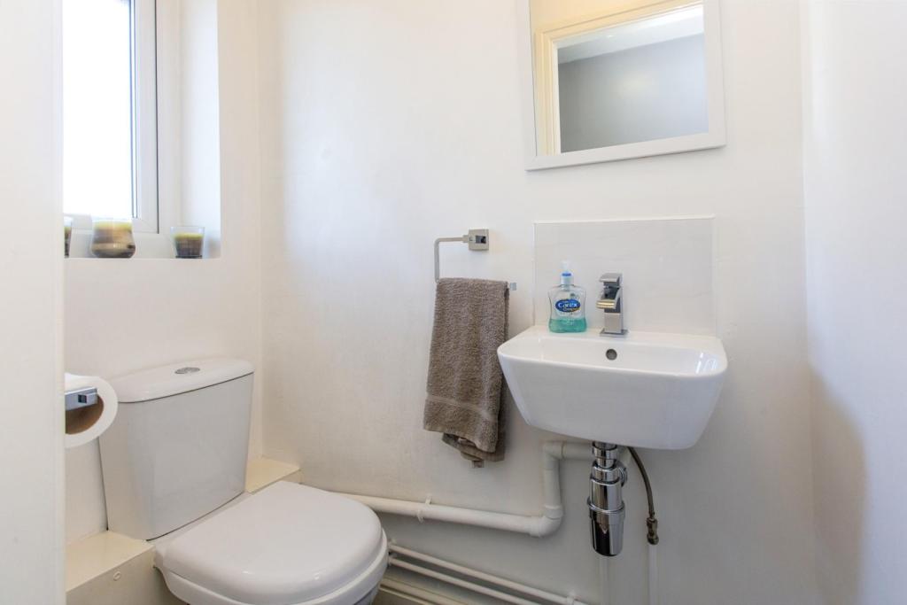 Downstairs Cloakroom