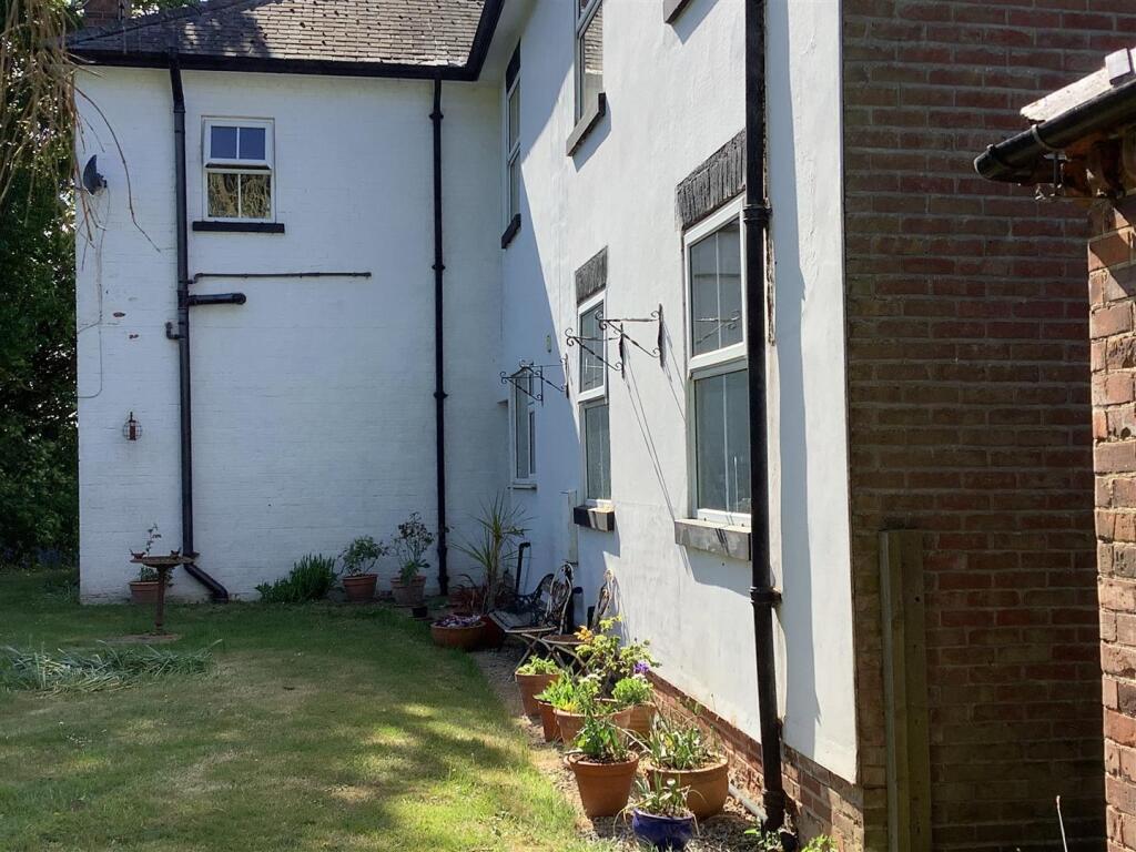 back garden.jpg