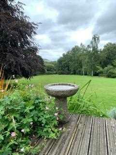 View from the garden