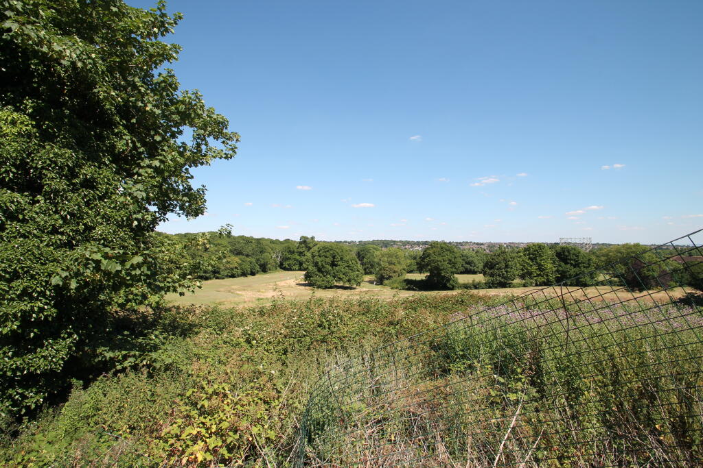 Photo 03