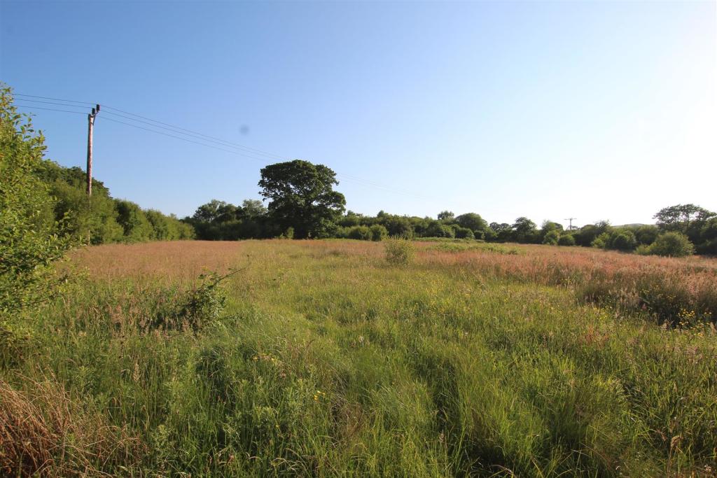 THE LAND