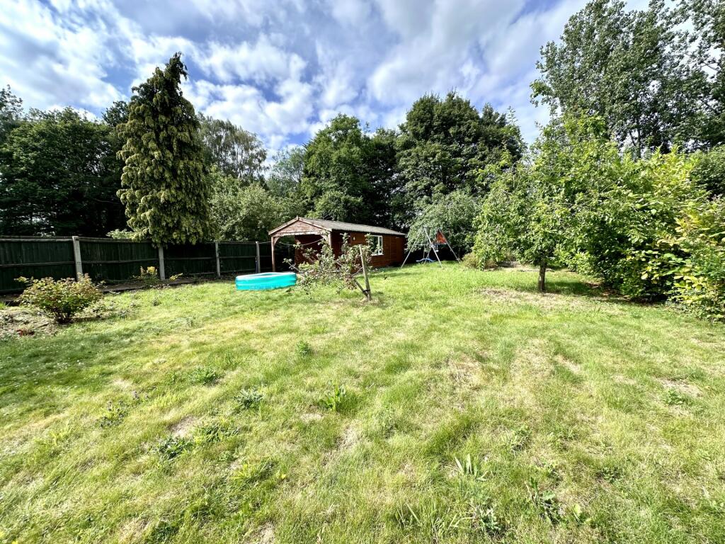 Garden 4