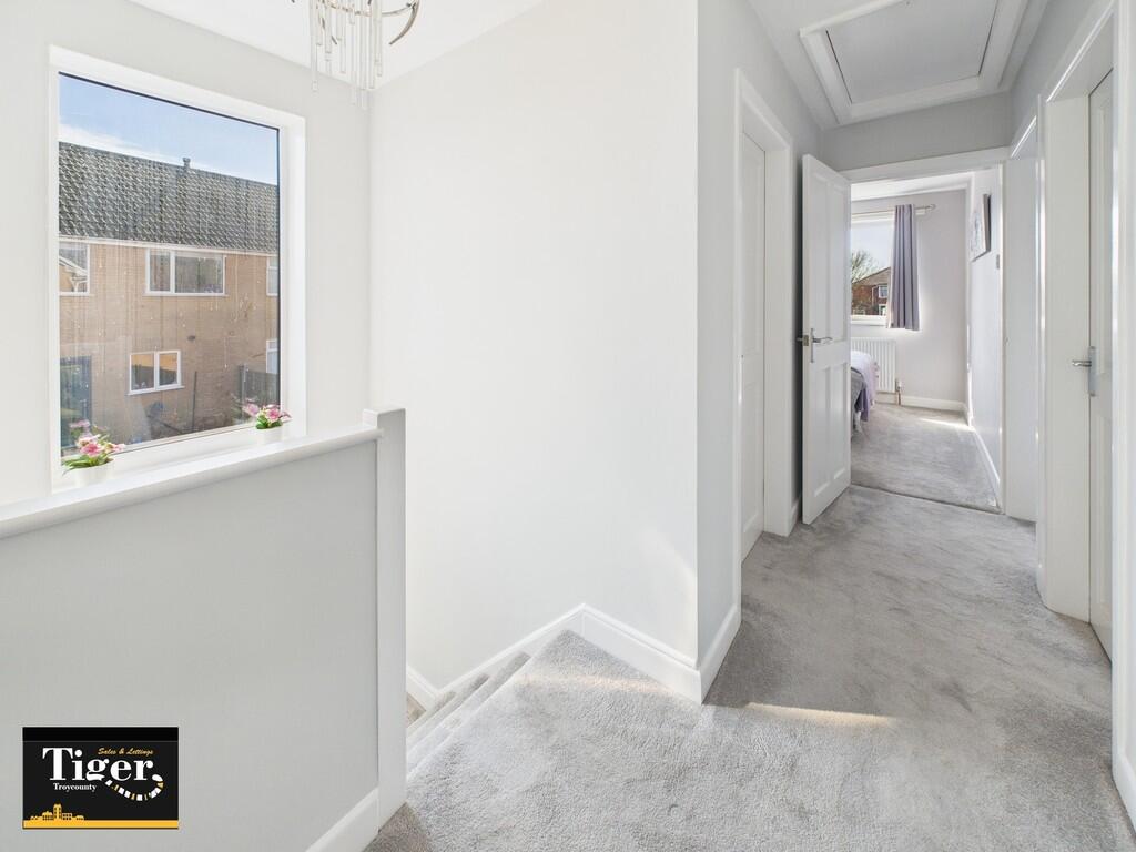 CAM02176G0-PR0523...