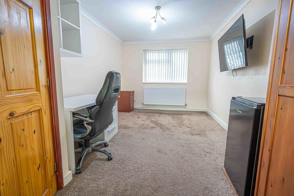 20250215-DSC02800...