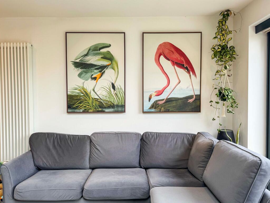 Open Plan Living Kitchen Dining Room