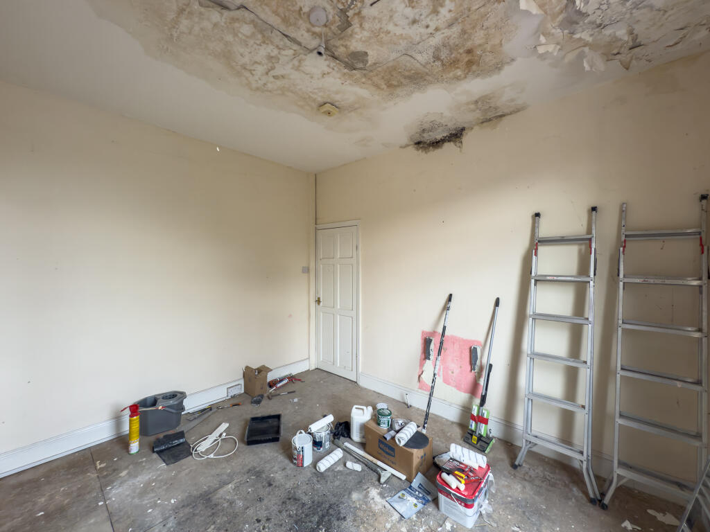 IMG 0111 T202506291746.jpg