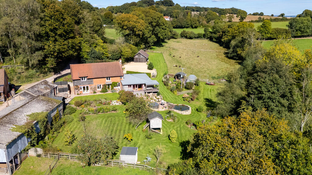 A19 - Cuckoo Down...