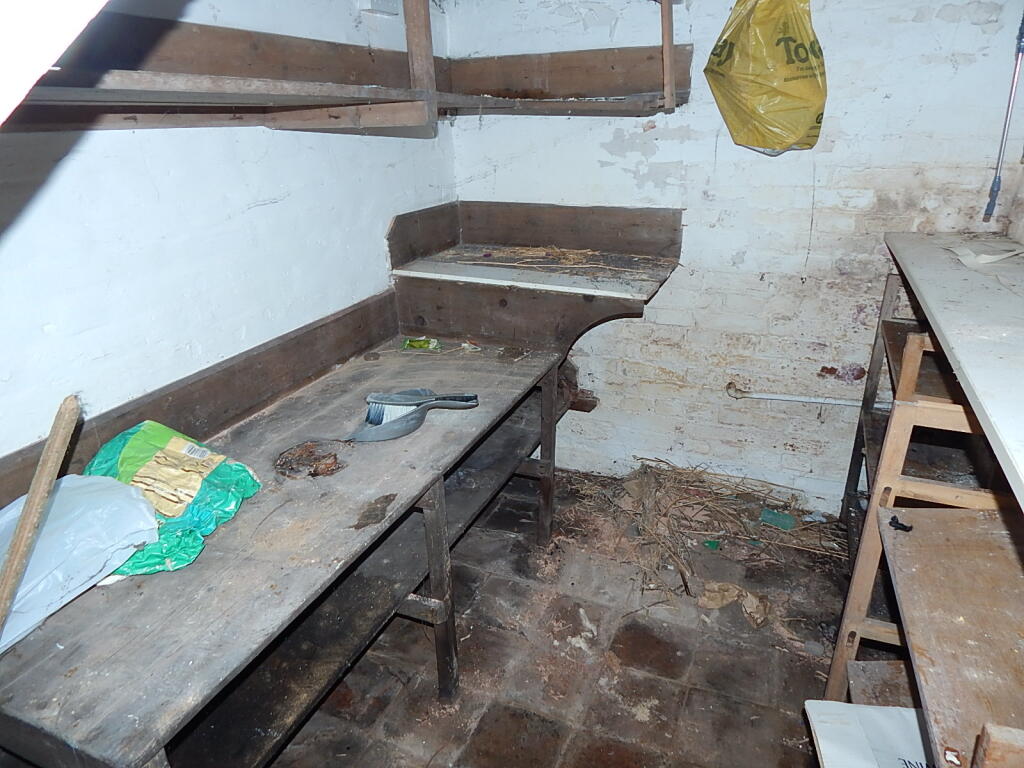 11 T202506241535.jpg