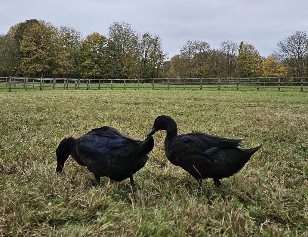 d5289139-a32d-40d...